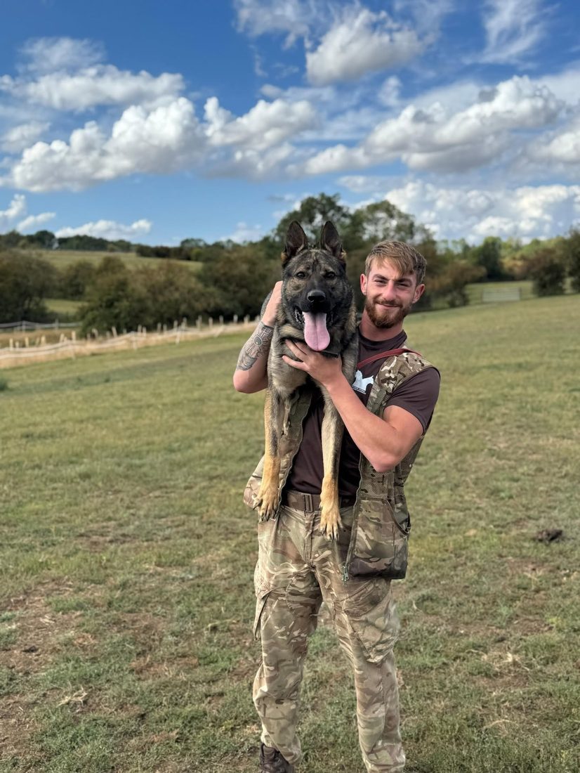 Westwood K9 Academy trainer holding a young Malinois in a field